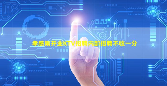 孝感刚开业KTV招聘内部招聘不收一分